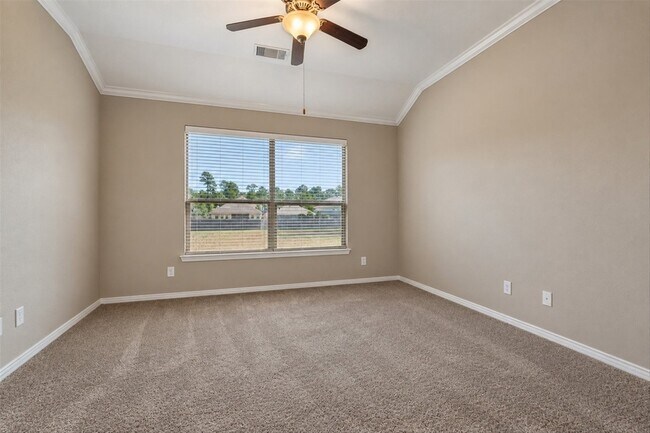 Building Photo - 42 Black Swan Ct