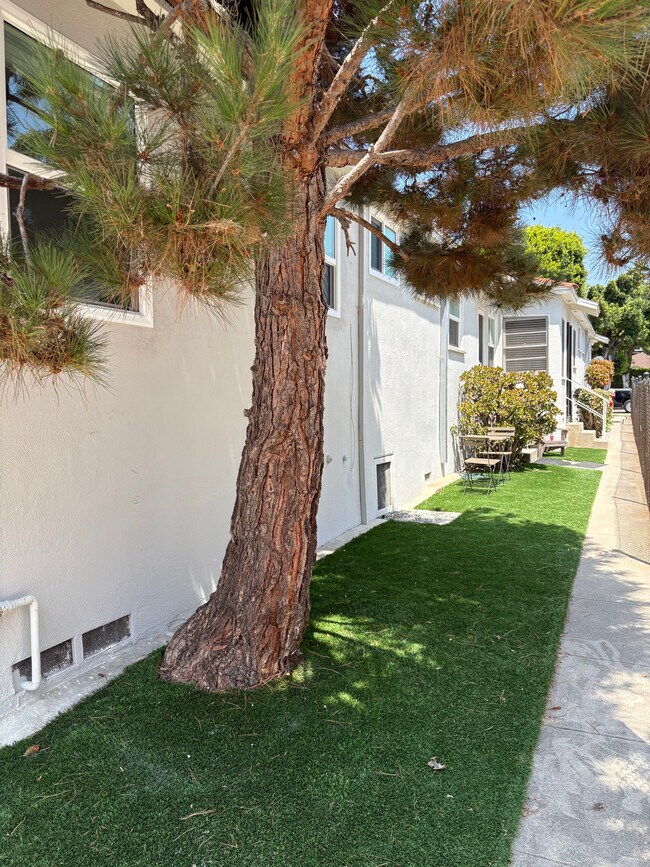 Exterior Rear Entrance - 2202 Ocean Park Blvd