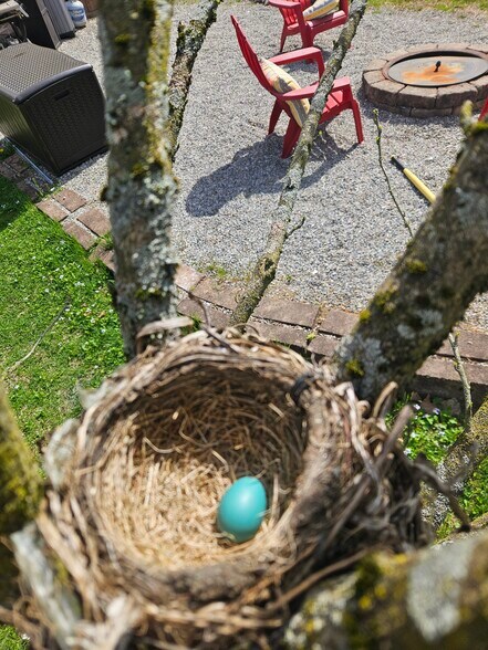 Building Photo - 11 Elm St