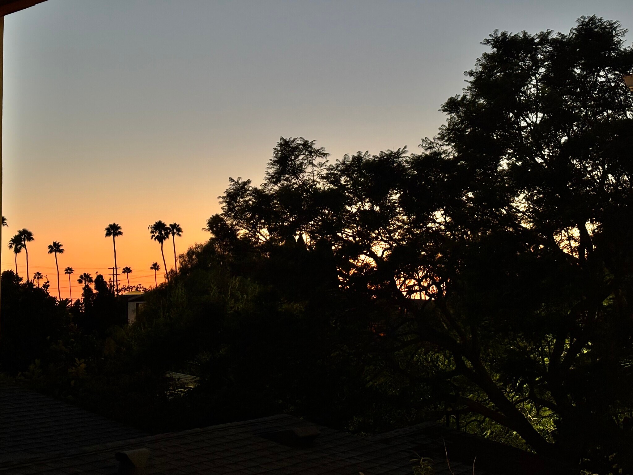 Beautiful sunset views. - 936 Palms Blvd