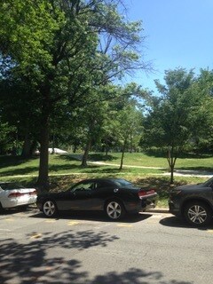 Kalorama Park - 2300 19th St NW