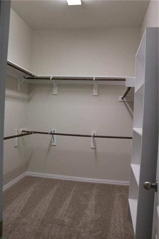 Building Photo - 913 Wolcott Dr