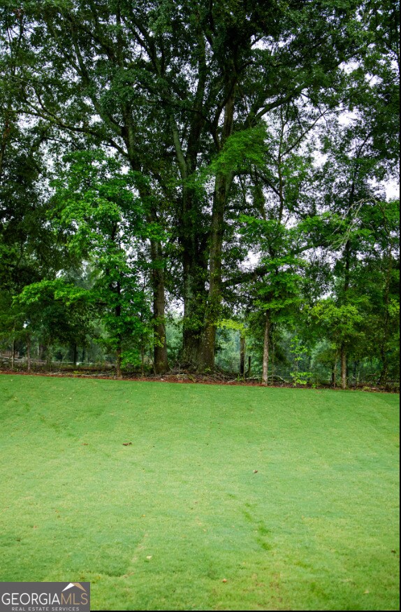 Building Photo - 386 Red Dragon Dr