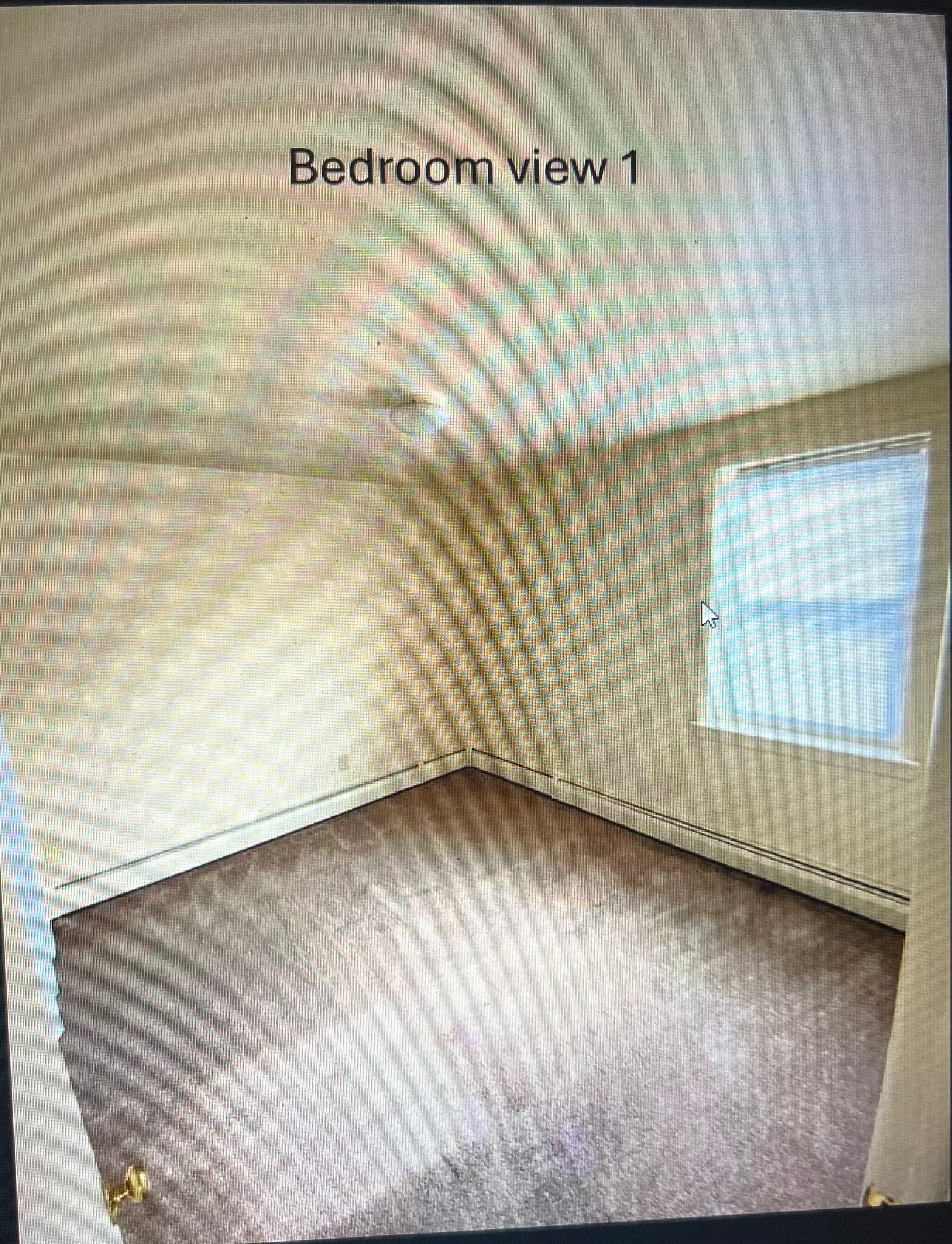 bedroom view 1 (empty) - 420 E Cumberland St