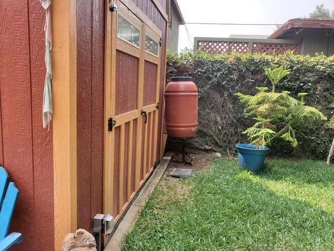 Backyard - 741 Elmira St