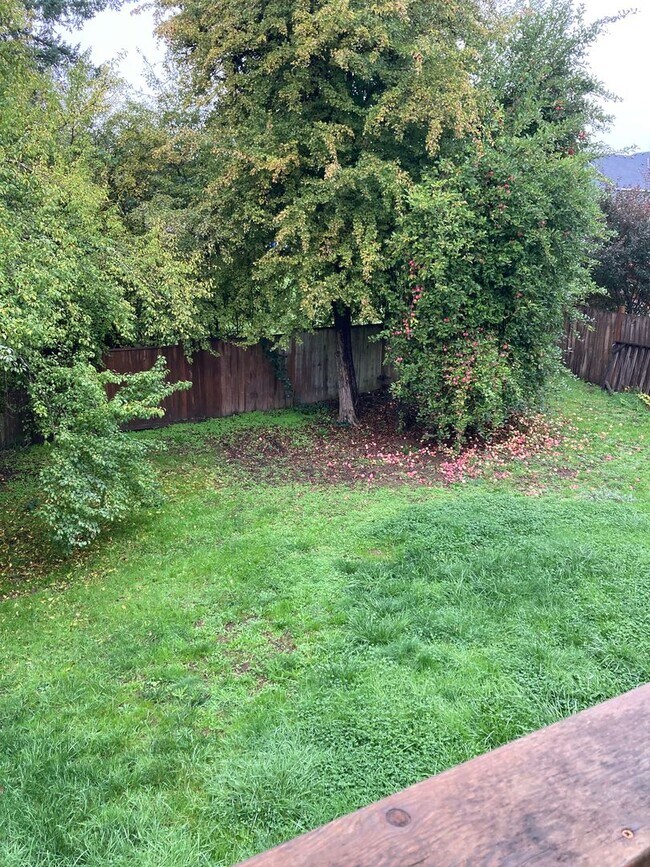 Building Photo - 2 Story Home in Lafayette - Showings Start 4/2