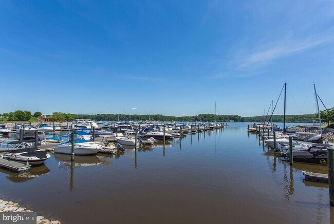 Building Photo - 525 Belmont Bay Dr