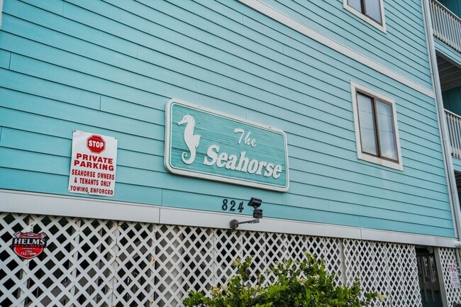 Building Photo - Shore Thing: Seasonal Beachfront Rental (D...
