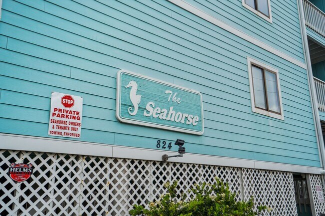 Building Photo - Shore Thing: Seasonal Beachfront Rental (Nov 1 - February 28, 2026)