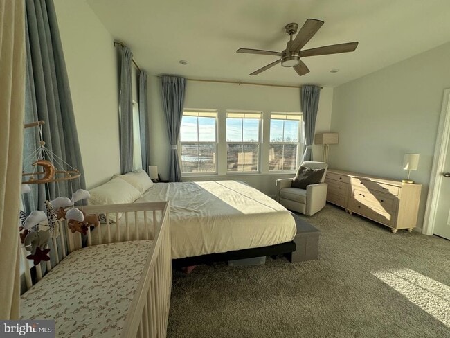 Building Photo - 310 Andrew Ct