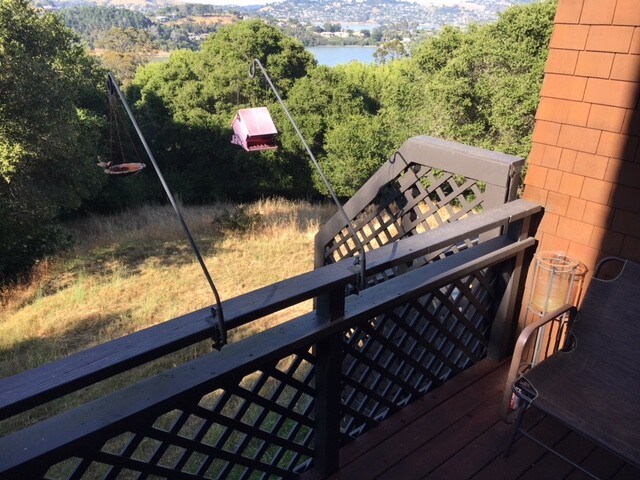 Deck - 316 Donahue St