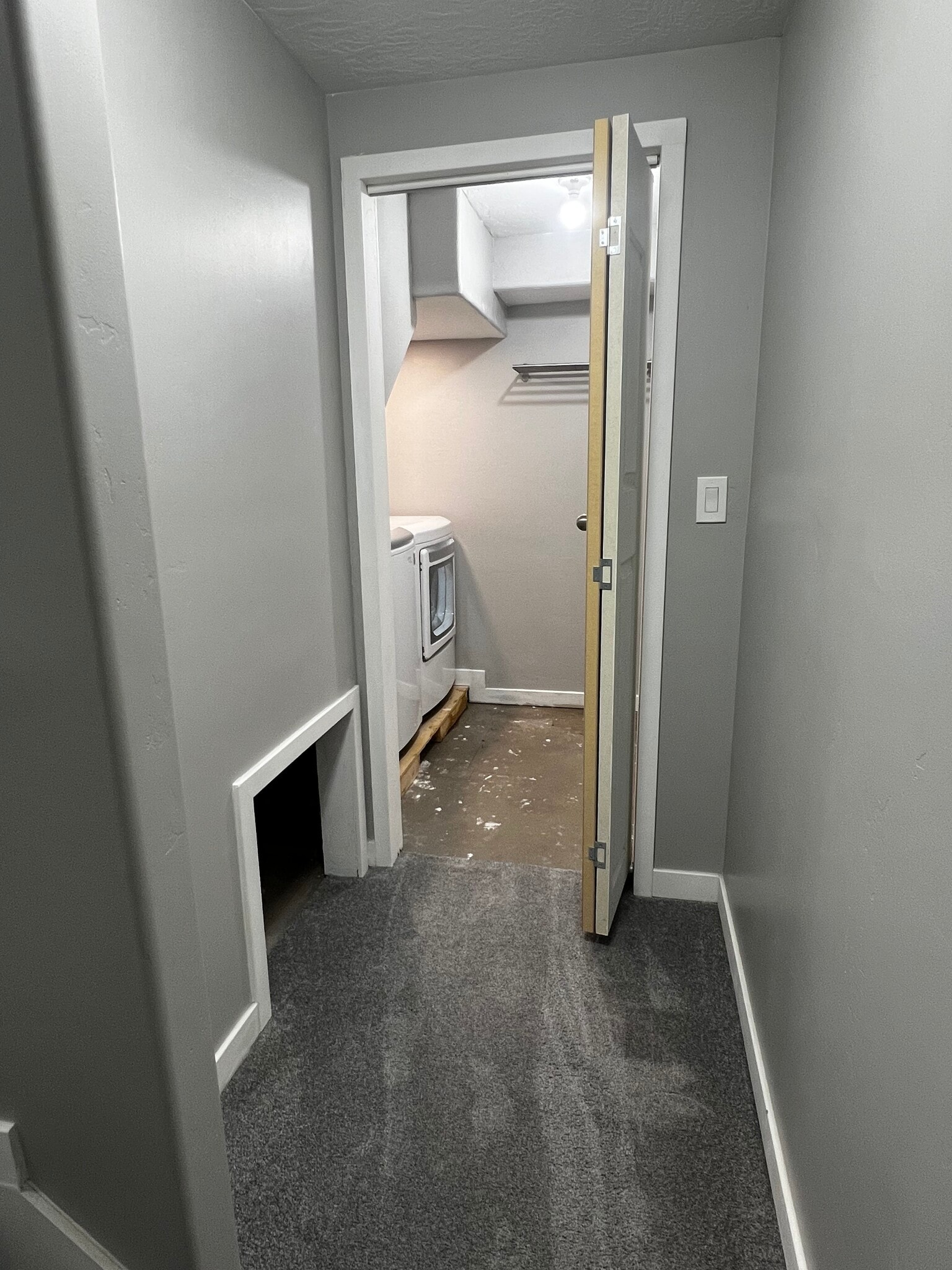 basement hallway + under stair storage + laundry room entrance - 1018 W Cyan Valley Way