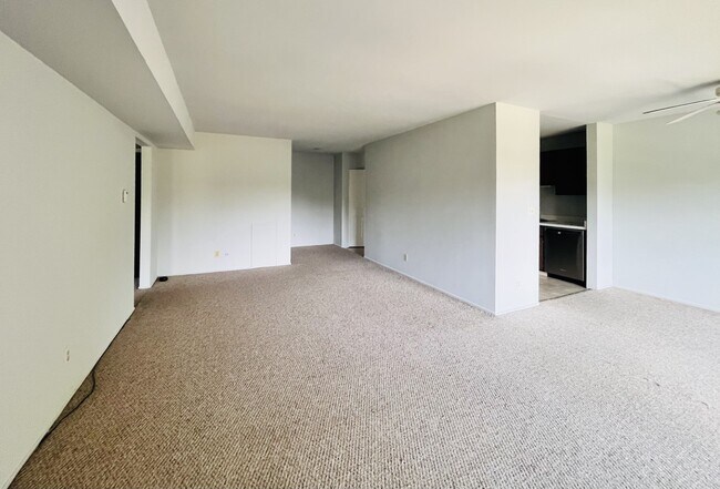 large open area for living/dining and more - 2102 Pauline Blvd
