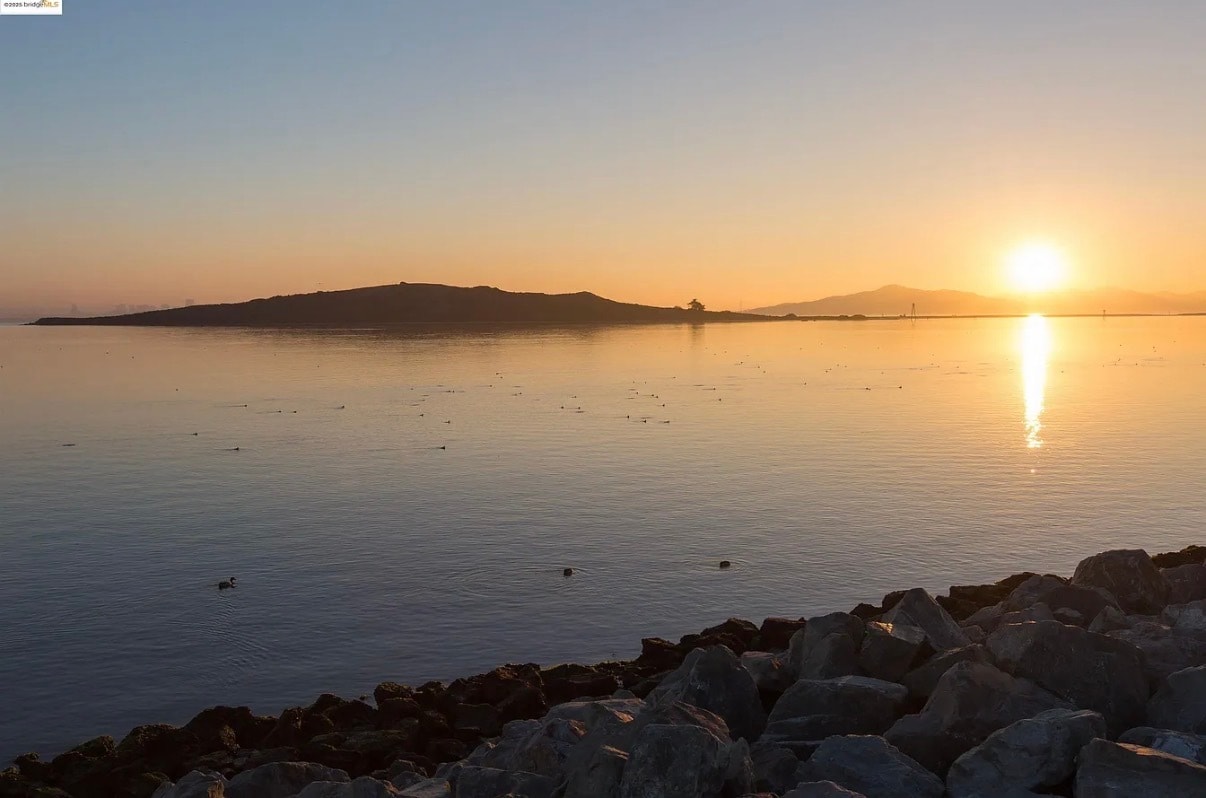 Building Photo - 15 Shoreline Ct