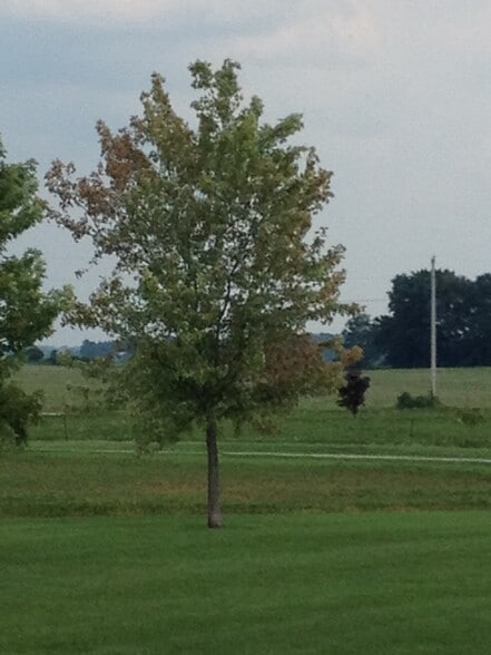 Building Photo - 505 Vineyards Ct