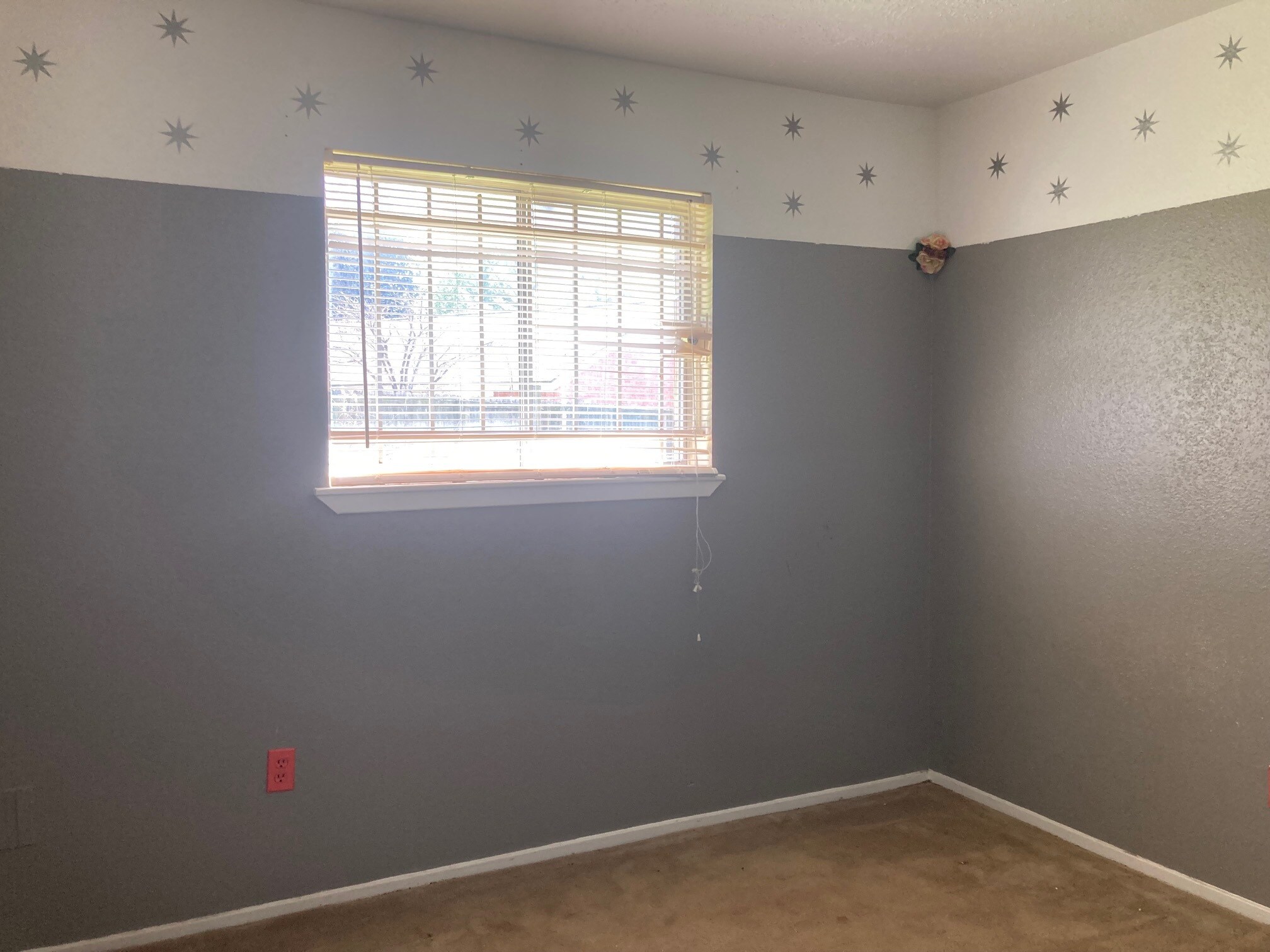 Building Photo - 7750 Water Park Ln