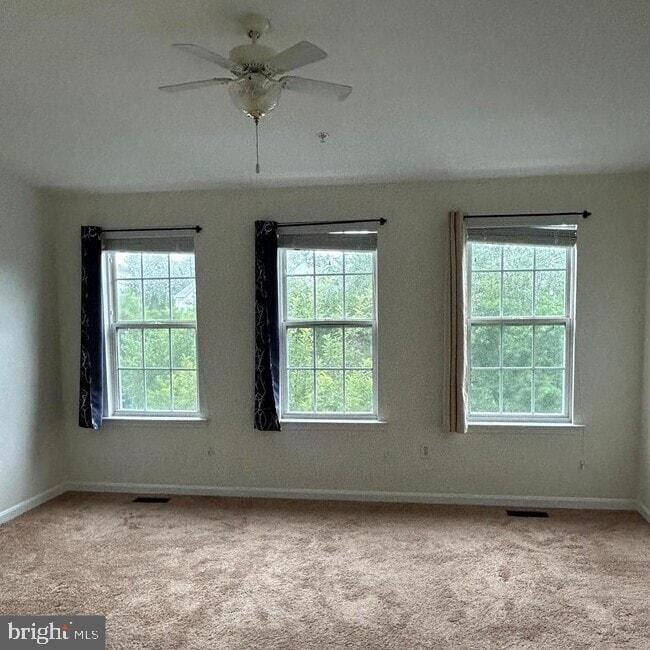 Building Photo - 25 Crusader Ct