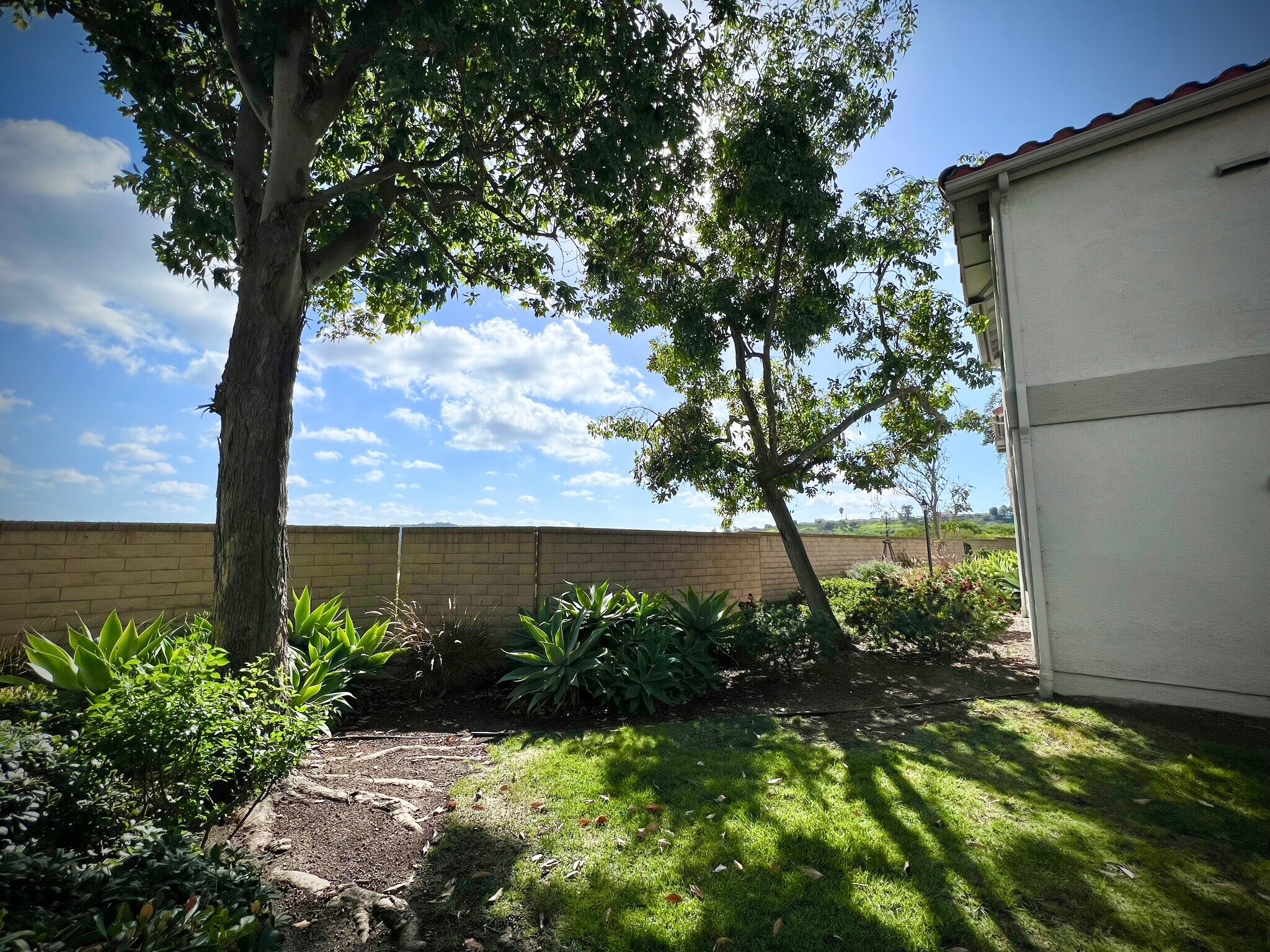 Front yard area... - 10341 Azuaga St