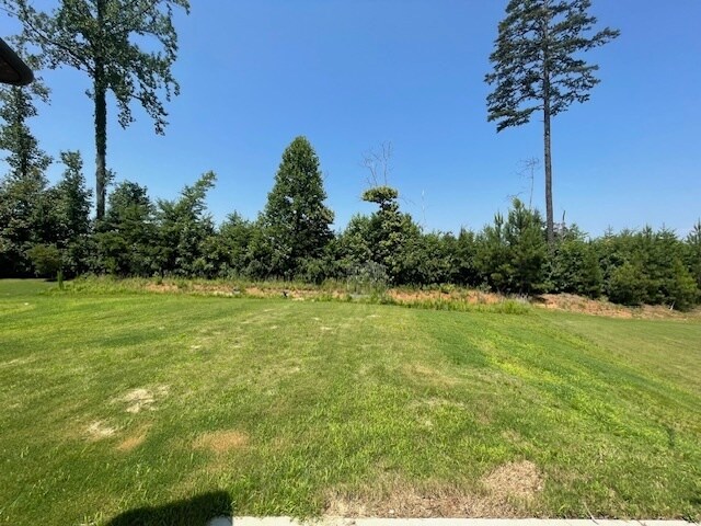 Building Photo - Stunning 4 Beds 3 Baths Home in Fort Mill