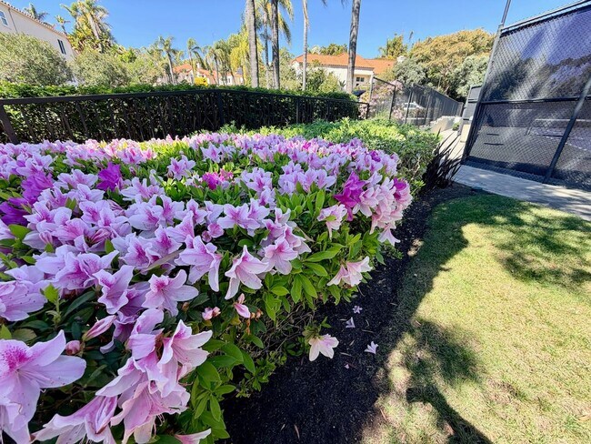 Building Photo - For Rent Available Now - Furnished House 3+BR 2.5Ba in Del Mar, charming furnished home in the hi...