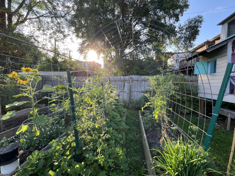 Garden - 3817 Lafayette Ave