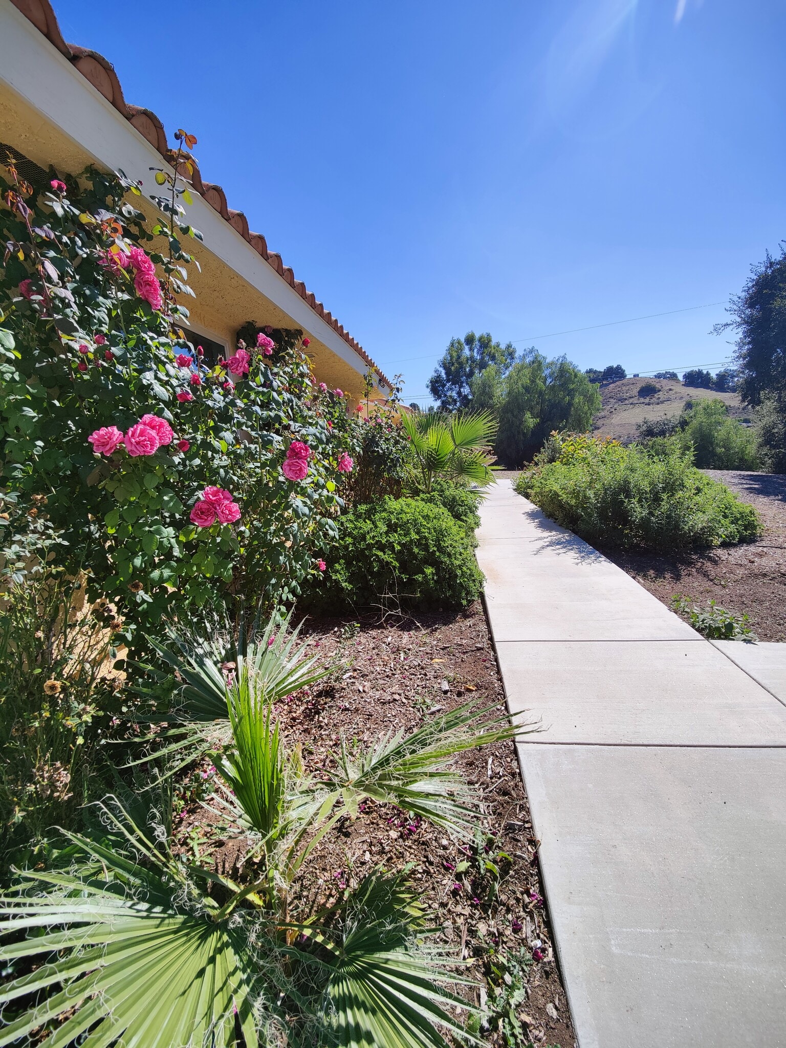 Building Photo - 17381 Canyon Heights Dr