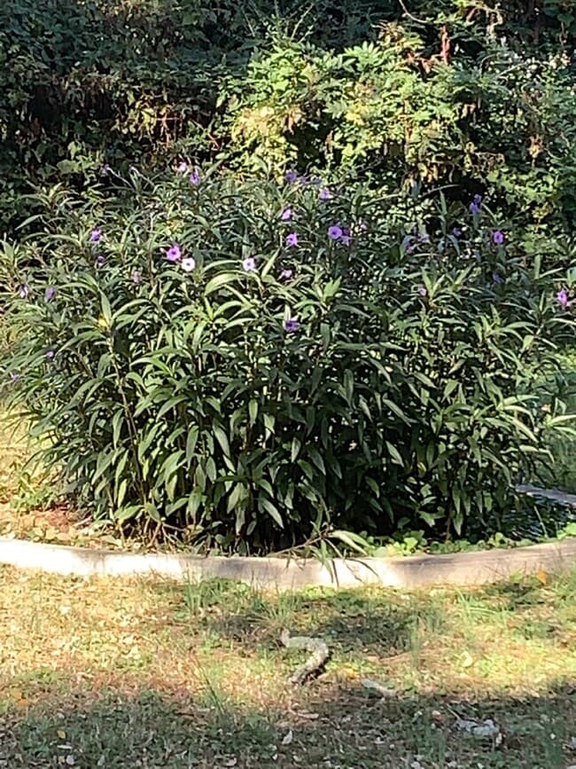 Building Photo - Charming 3-Bedroom Home with 2 Full Bathrooms in Jonesboro!