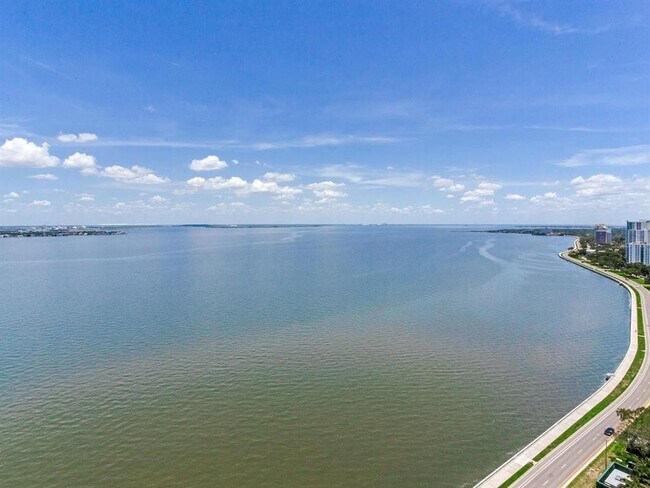 Building Photo - 3101 Bayshore Blvd