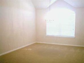 Building Photo - 1002 Mesquite Hollow Pl