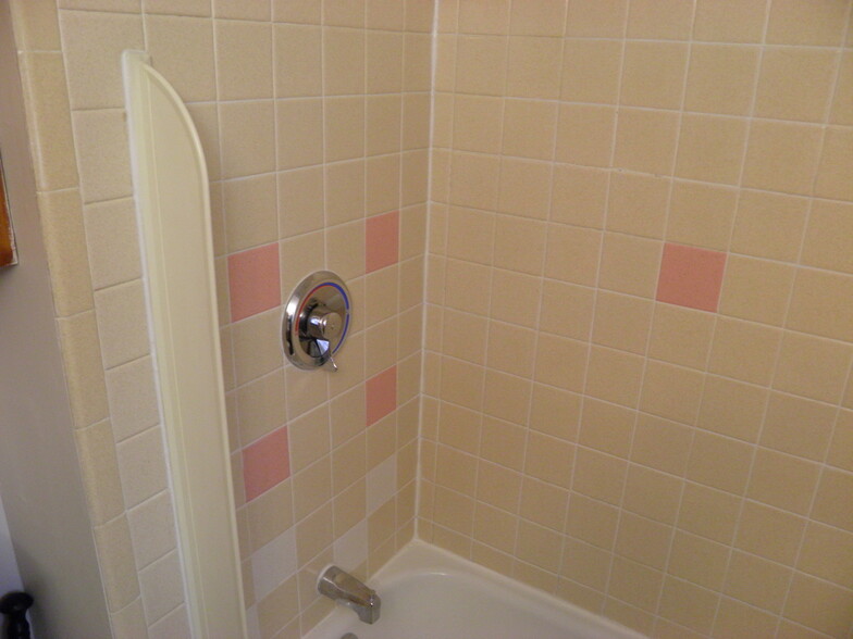 tub/shower - 47 Spring St