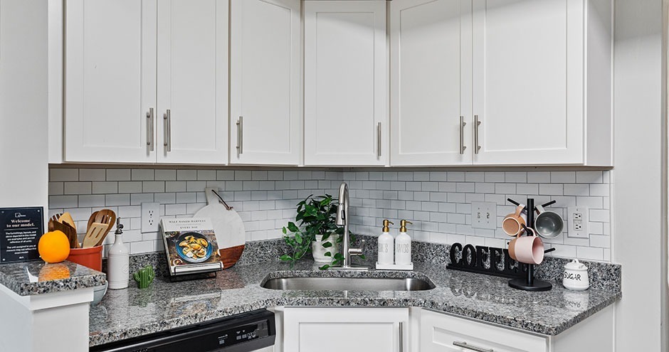 Reno-Model-Kitchen-01-Park-at-Athens-Lakeside-Athens-GA-5 - Arches On The Lake Student Living