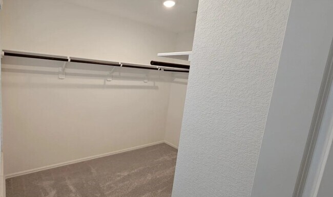 Building Photo - 26734 Paloma Blanca Dr