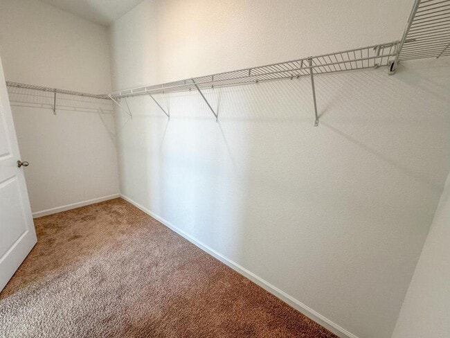 Building Photo - 16391 Winding Blossom Dr