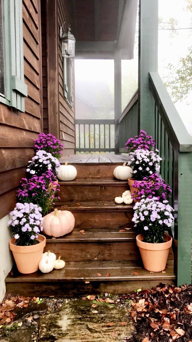 Building Photo - 103 Clary Ct