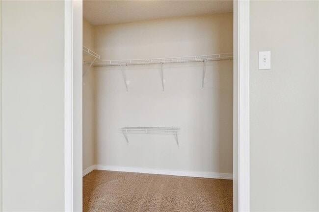 Building Photo - 1017 Palmetto Ct