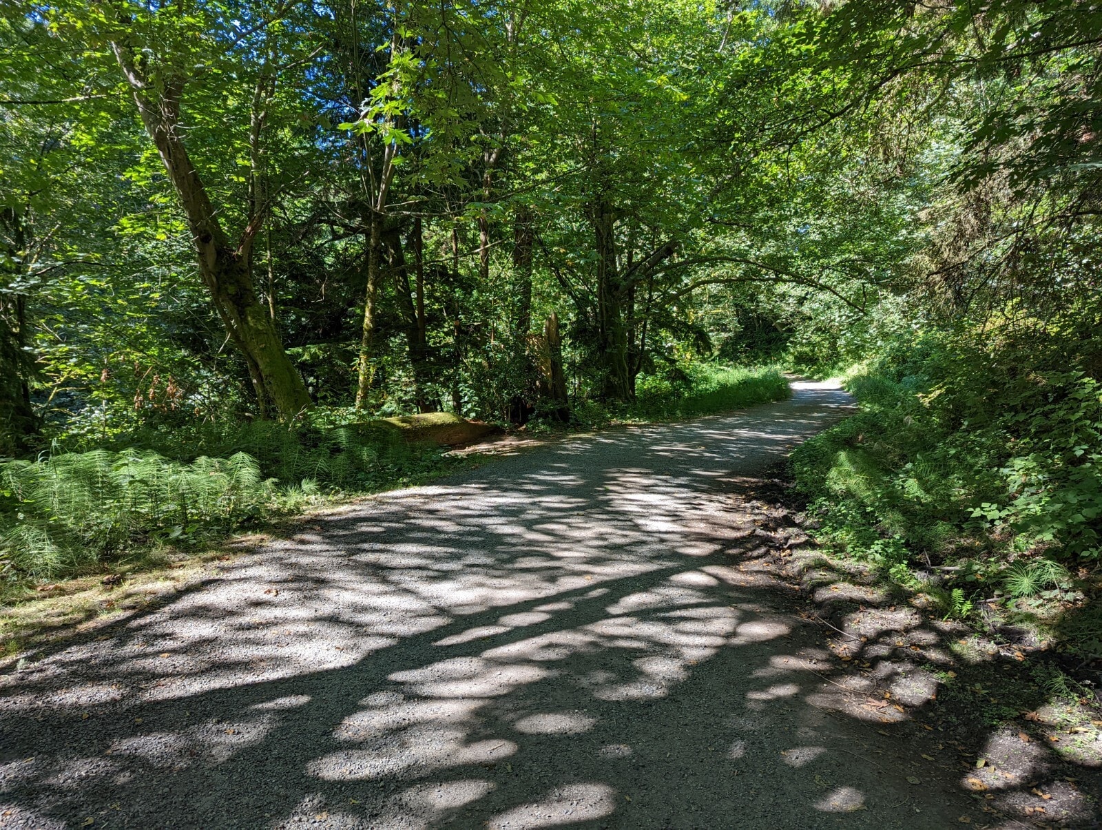 Seahurst Hiking Trail - 1412 SW 130th St