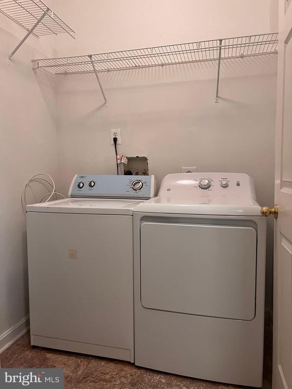 Building Photo - 3511 Piney Woods Pl