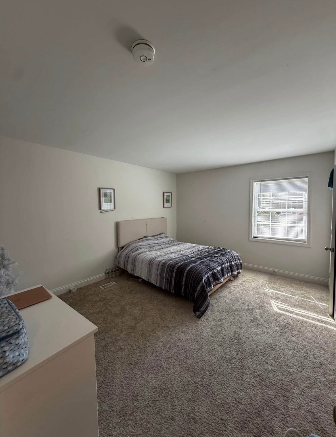 Building Photo - 608 Windsor Ridge Dr