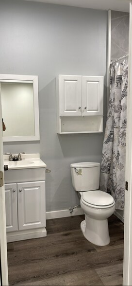 Remodeled bathroom! - 10500 Hayvenhurst Ave
