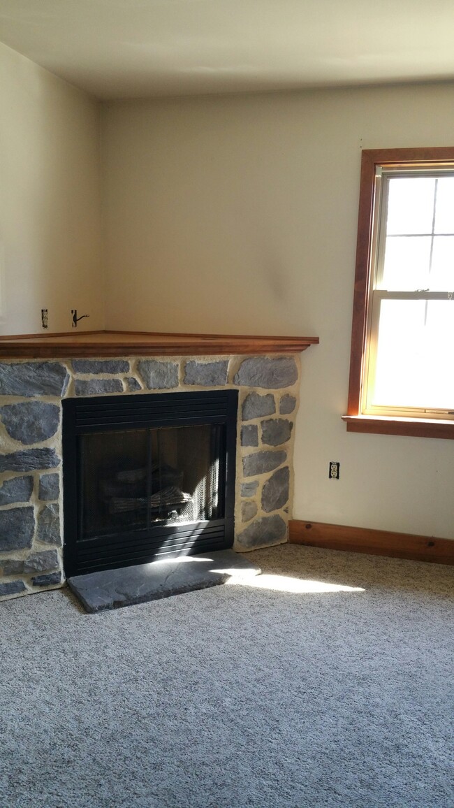 Natural Gas Fireplace - 40 Nolt's Ln