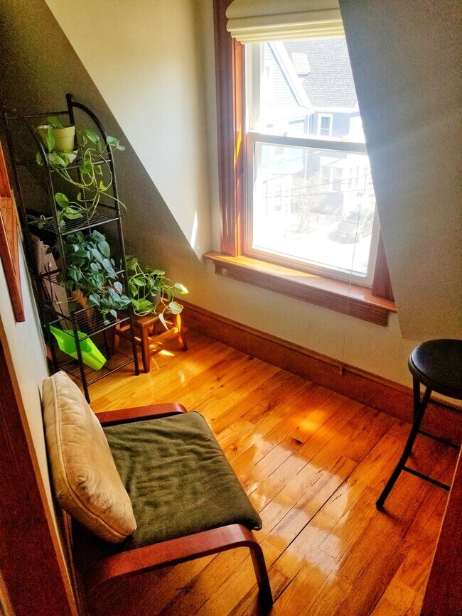 Building Photo - 2BD 2 Bath With Loft in Cambridge Central ...