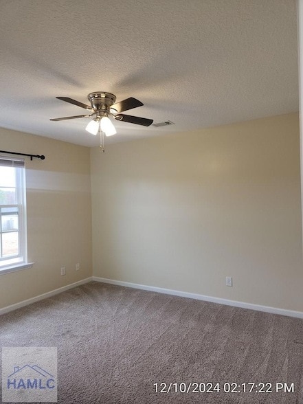 Building Photo - 73 Labrador Ln