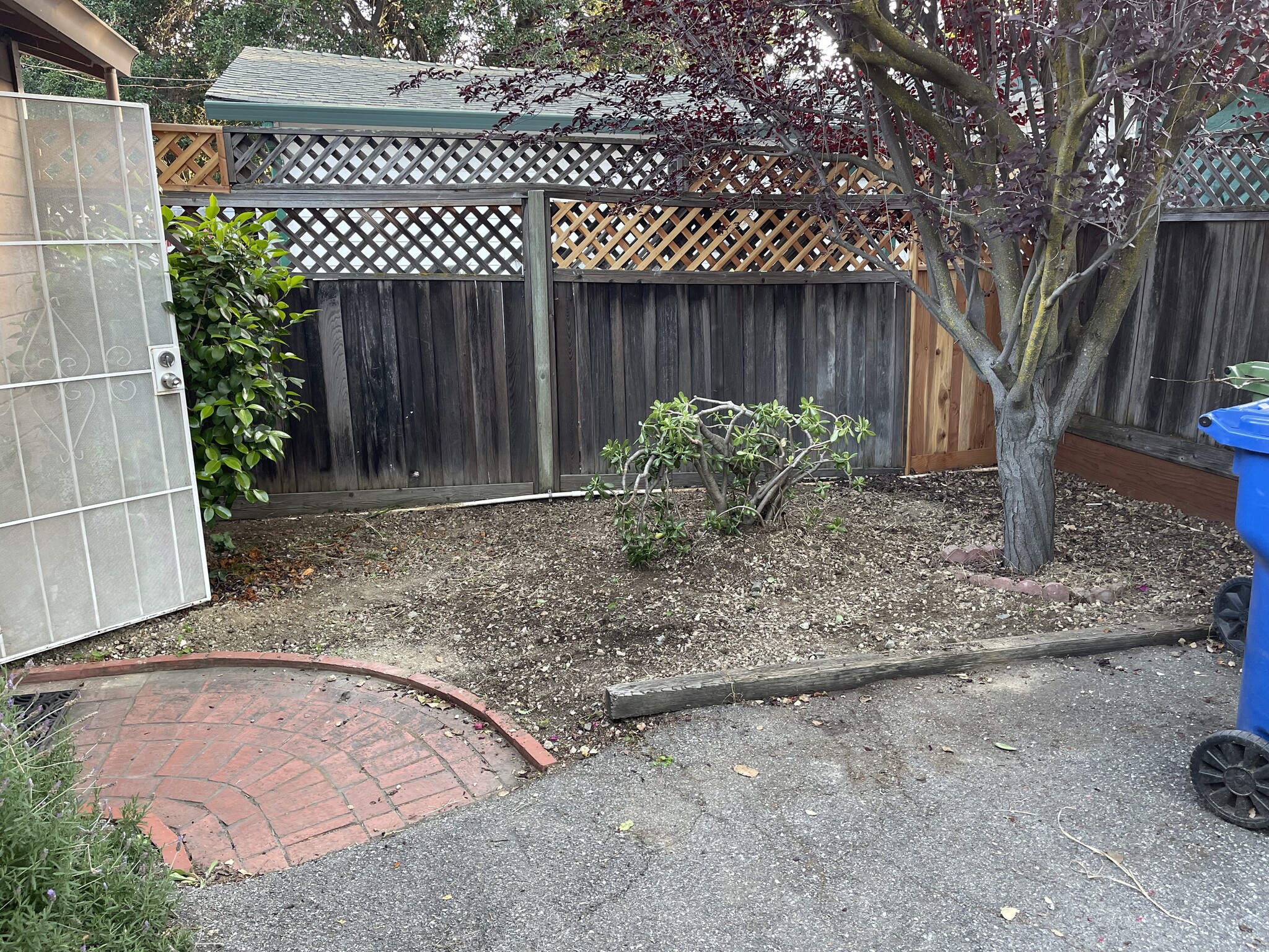 Front yard - 15040 Los Gatos Blvd