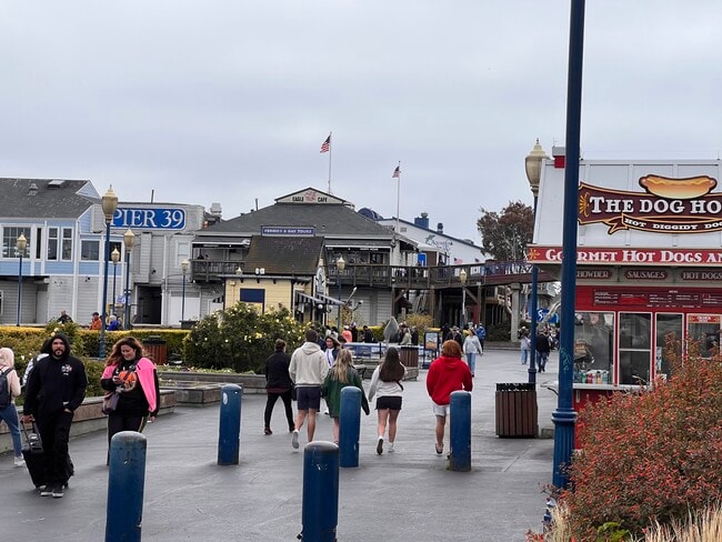 Building Photo - 445 Chestnut St