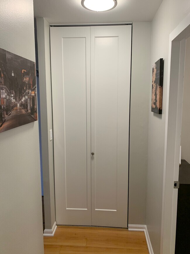 Hallway Closet - 1360 N Sandburg Ter