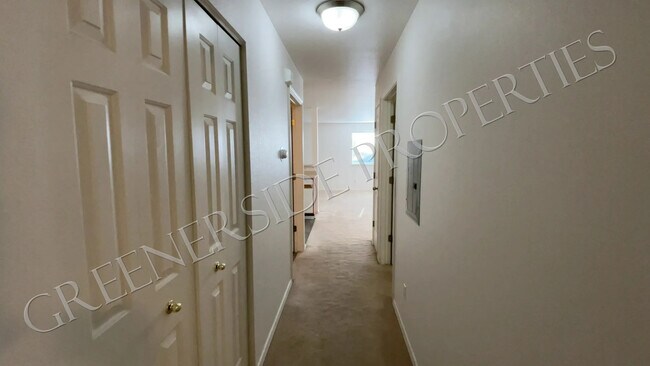 Hall - 677 Paradise Plz