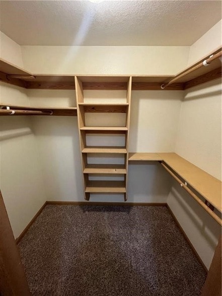 Building Photo - 2229 E Cinnamon Way