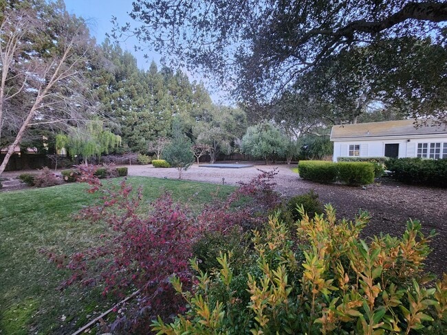 Building Photo - Extraordinary Atherton Estate with Cottage...