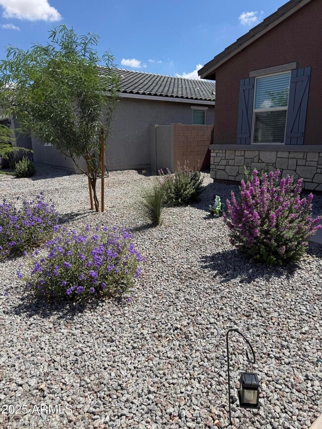 Building Photo - 2609 E San Miguel Dr