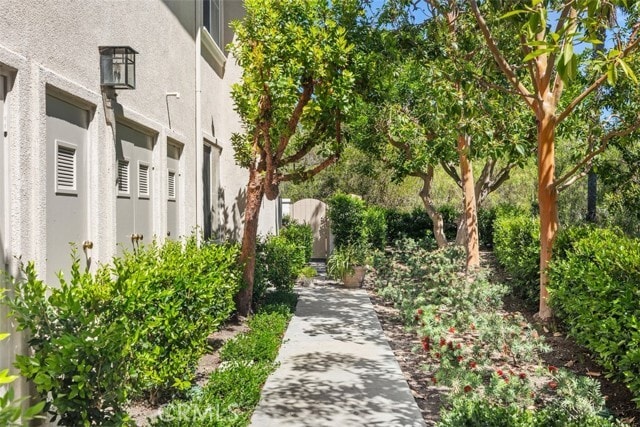 Building Photo - 1 Calle Viveza